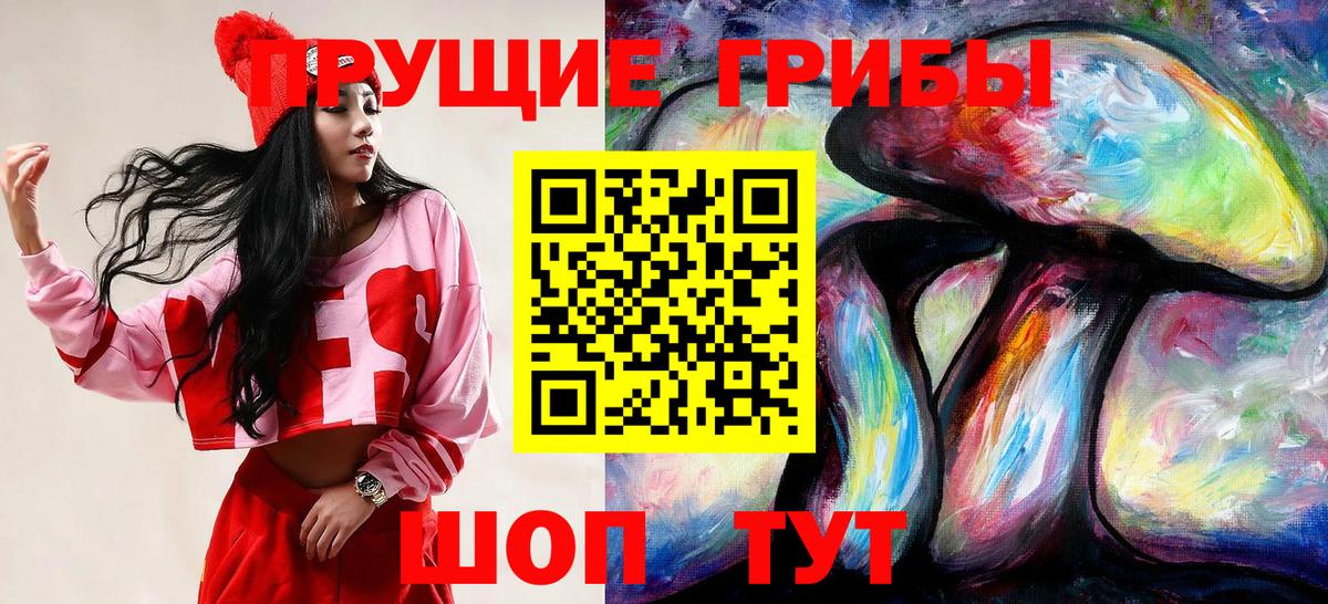 Галлюциногенные грибы Psilocybe Губаха