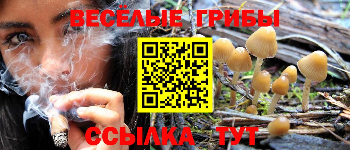 Псилоцибиновые грибы мухоморы  Вход с VPN  Псилоцибиновые грибы Magic Shrooms  Губаха 